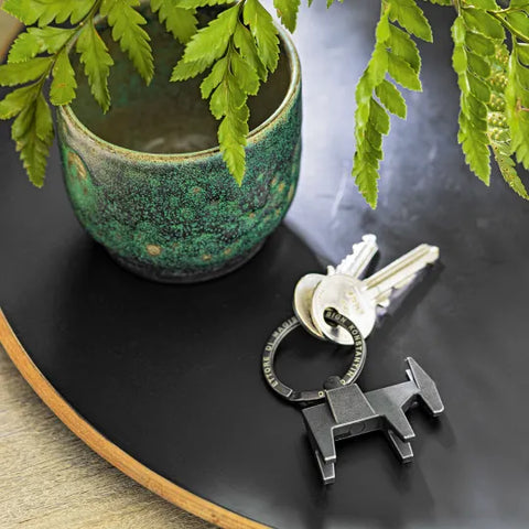 Magis MULE Keyring Ettore Konstantin Grcic