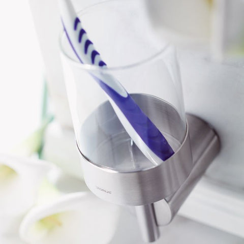 Blomus Toothbrush Wall Mounted Satin Duo | Panik Design