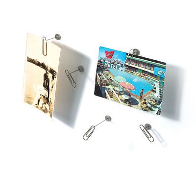 Umbra Clipster Pushpin Photo Holder 12pcs