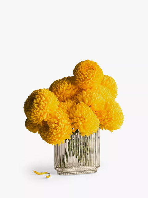 Georg Jensen Bernadotta Oval Glass Vase