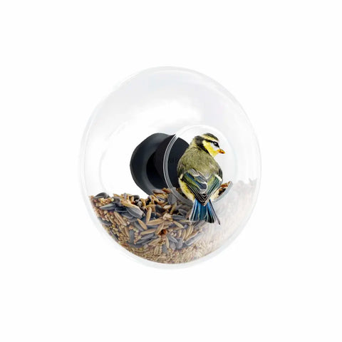 Eva Solo Window Bird Feeder