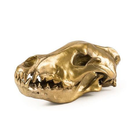 Seletti Wunderkrammer Wolf Skull Ex Showroom