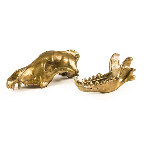 Seletti Wunderkrammer Wolf Skull Ex Showroom