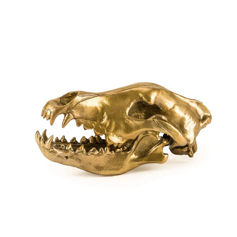 Seletti Wunderkrammer Wolf Skull Ex Showroom