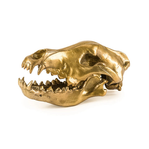 Seletti Wunderkrammer Wolf Skull Ex Showroom