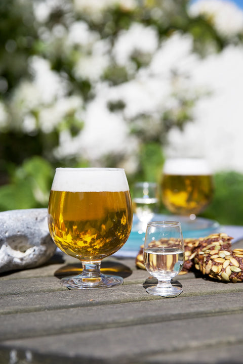 Holmegaard Det Danske Beer Glass