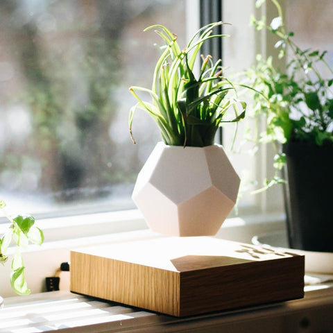 lyfe levitating plant pot Flyte Lyfe Levitating Planter w Oak Base – Panik Outlet
