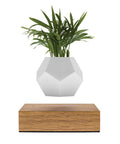 Flyte Lyfe Levitating Planter w Oak Base