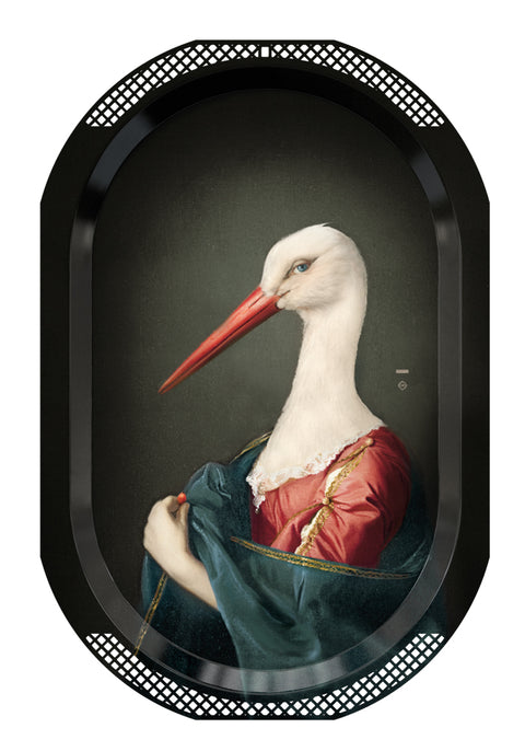 ibride Madame Stork La Cigogne
