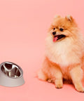 Alessi Dog Bowl WOWL Michel Boucquillon | Panik Design