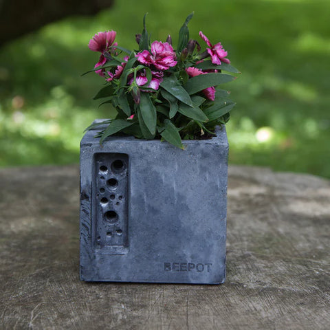 Green and Blue Beepot Mini Planter