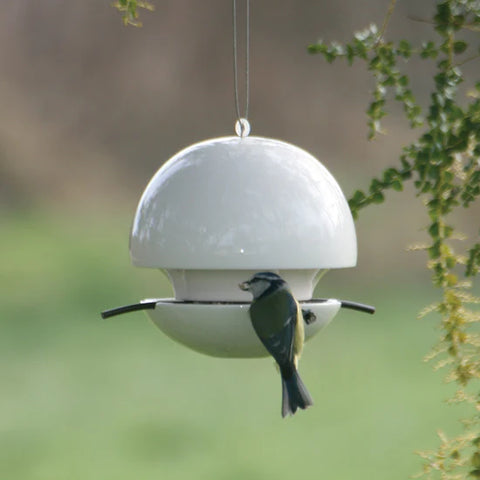 Green and Blue Hanging Birdfeeder