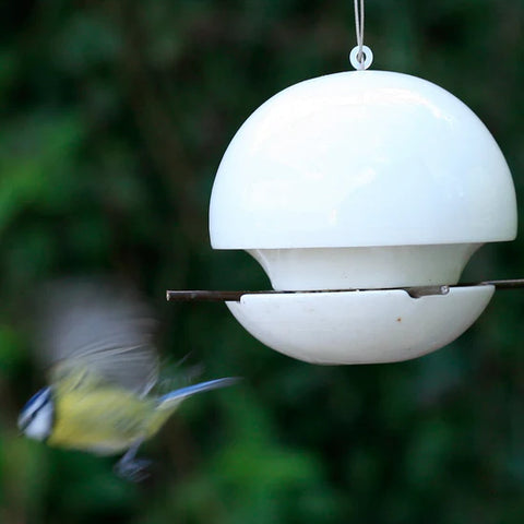 Green and Blue Hanging Birdfeeder