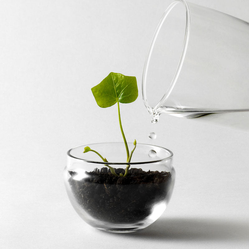 Design House Stockholm – Panik Outlet